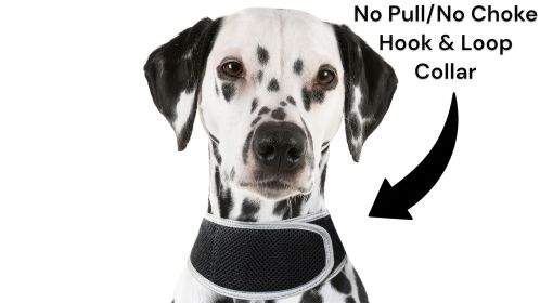 Collar Mount GPS Dog Tracker Waterproof Realtime Wireless Pet Monitor Size:L