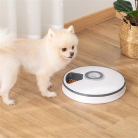 Dog Food Feeder Bowl