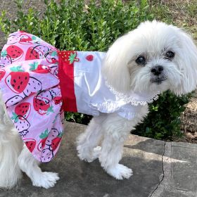 Strawberry Picnic  Harness Dress with Matching Leash (size: Xlarge)