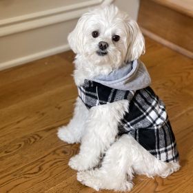 Weekender Dog Sweatshirt Hoodie (Color: Black & White Plaid Flannel, size: X-Large)