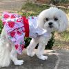 Strawberry Picnic  Harness Dress with Matching Leash